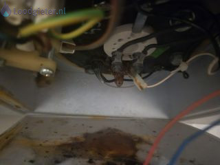 Loodgieter Boiler boiler lekt