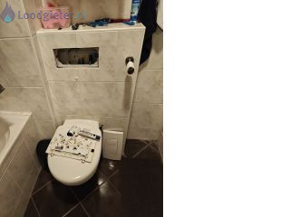 Loodgieter Zoetermeer Doorlopend toilet