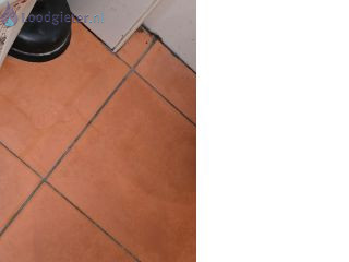 Loodgieter Reparatie toilet Lekkage onder het toilet
