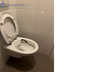 Loodgieter Hangend toilet plaatsen Hangend toilet plaatsen