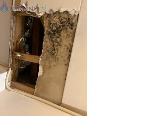 Loodgieter rookgasafvoer Rookgasafvoer lekkage