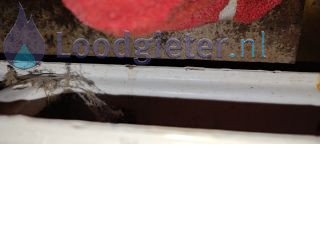 Loodgieter Afkoppelen radiator Radiator afkoppelen
