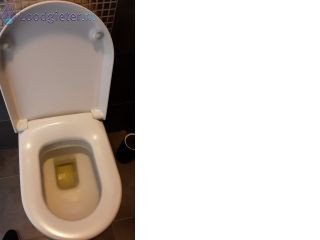 Loodgieter Hangtoilet Spoel mechanisme werkt niet meer