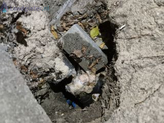 Loodgieter Hemelwaterafvoer Sinkhole in de tuin bij de afvoer