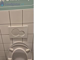 Loodgieter WC Spoelknop bijft hangen