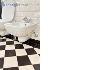 Loodgieter Bidet Bidet vervangen.