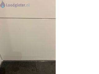 Loodgieter Douchekraan Douchekraan kitten