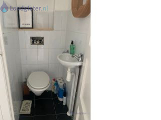 Loodgieter Inbouw toilet vervangen toilet vervangen