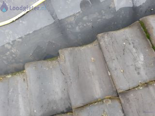 Loodgieter Dakgoot verstopt Verstopping afvoer dakgoot.