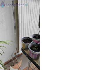 Loodgieter Afkoppelen radiator Radiator afdoppen
